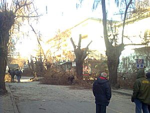 Пазарджик бул. 
