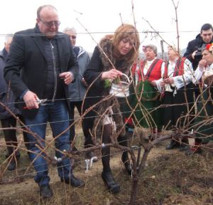 Лесичово Трифон Зарезан