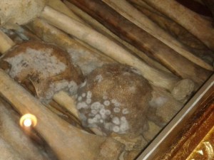 Кости в костницата в Батак, покрити с мухъл