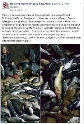 Бракониер