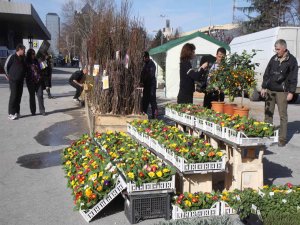 Цветна пролет в Пловдивския панаир