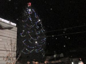 Стрелча елха 